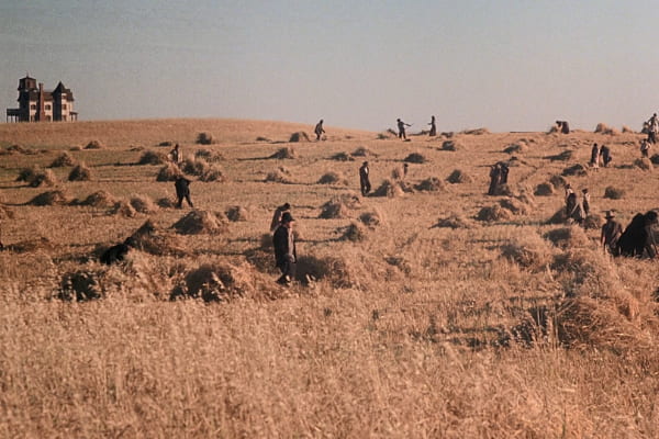 Imagem da publicação Em busca da redenção: “Dias de paraíso”, de Terrence Malick